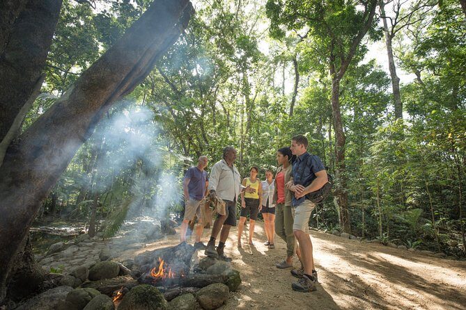 Mossman Gorge Adventure Day - An In-Depth Look at the Mossman Gorge Adventure Day