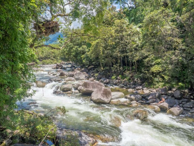 Mossman Gorge: Day Tour with River Drift Experience - The Highlights of the Tour