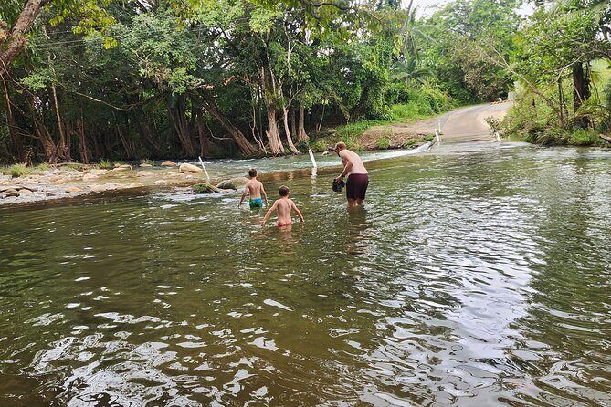 Mossman Highlights eBike Tour - Tasting the Tropics: Shannonvale Winery and the Chocolate Farm