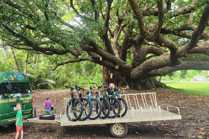 Mossman Highlights eBike Tour - What’s Included and What to Expect