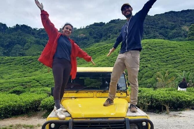 Mossy Forest in Brinchang Tour - Visiting the Boh Tea Plantation: Scenic Serenity and Education