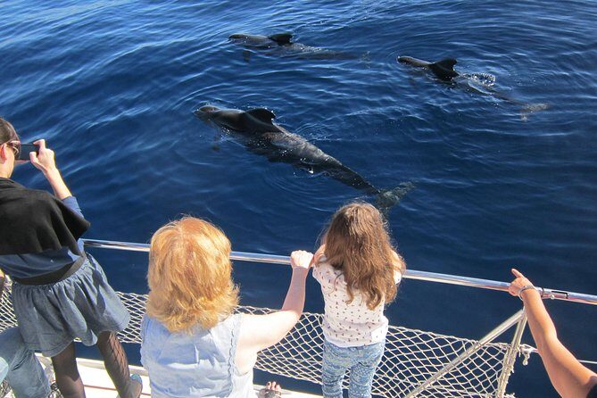 Most Famous Catamaran in Tenerife Island (2 hours and 3 hours tours) - The Experience: What You’ll Actually Do