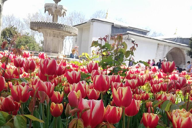 Most famous sites of Istanbul - A Deep Dive Into the Tour Experience