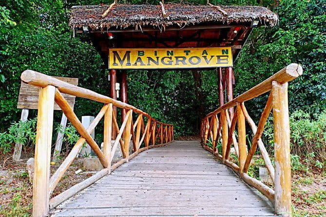 Most Popular Destination in Bintan Tour - Final Thoughts: Who Should Consider This Tour?