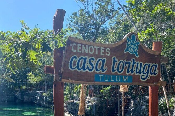 Mother Nature Tour, Turtle House and Tulum All Inclusive - What Travelers Are Saying (Based on the Data)