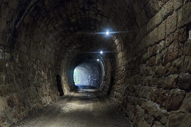 Motovun Area Hiking Tour with a Historian - The Journey Through Motovun: What to Expect