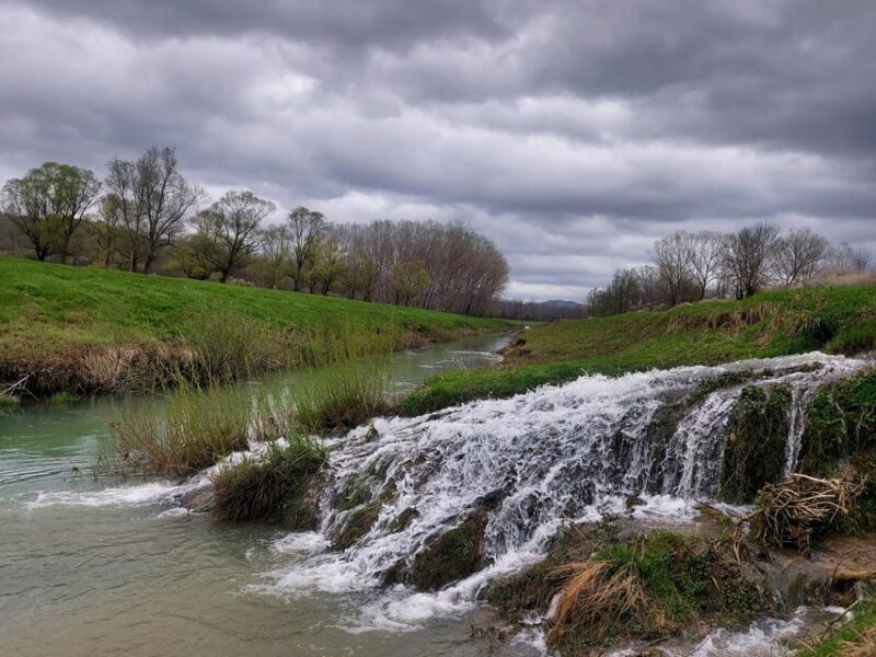 Motovun: The trail of Giants hiking tour & Fritule Tasting - Experience Highlights Based on Reviews