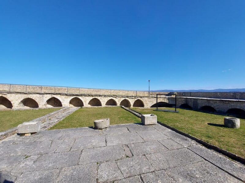 Motovun: The trail of Giants hiking tour & Fritule Tasting - Who Will Love This Tour?