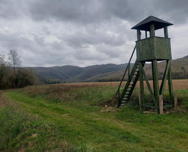 Motovun: The trail of Giants hiking tour & Fritule Tasting - Final Thoughts