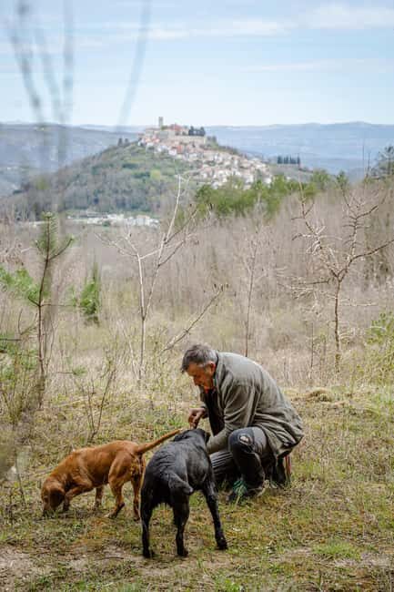 Motovun: Truffle Hunt & 3-Course Brunch with Locals - Motovun: Truffle Hunt & 3-Course Brunch with Locals
