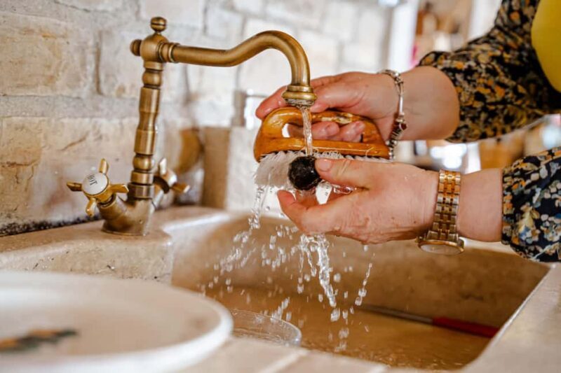 Motovun: Truffle Hunt & 3-Course Brunch with Locals - The Sum Up