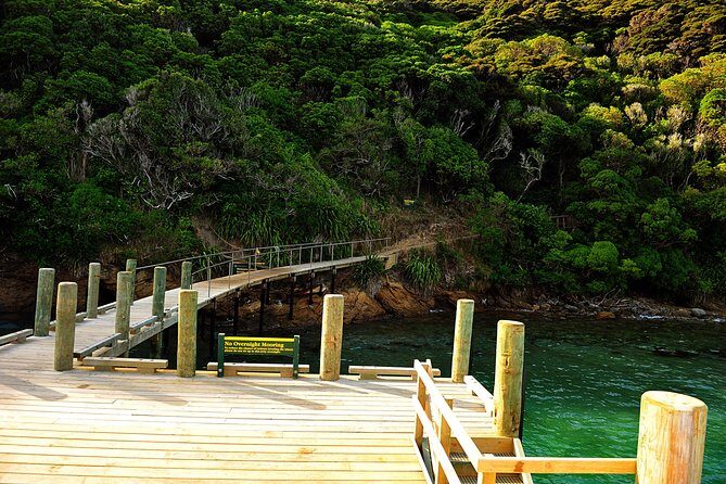 Motuara Island Bird Sanctuary and Ship Cove Cruise from Picton - An In-Depth Look at the Tour