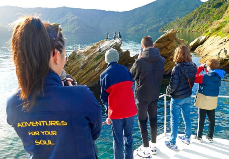 Motuara Island Sanctuary: Wildlife & Dolphin Watching Tour - Introduction: Why This Tour Might Be a Great Choice