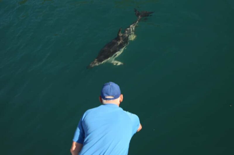 Motuara Island Sanctuary: Wildlife & Dolphin Watching Tour - FAQ