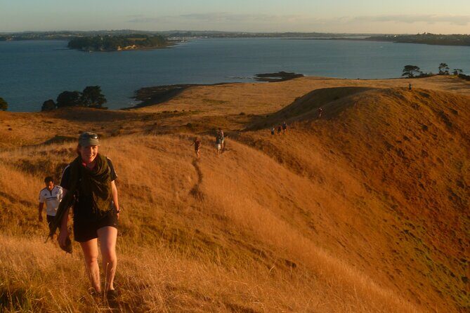 Motukorea / Browns Island Sea Kayak Journey - FAQs