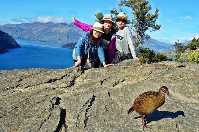 Mou Waho Island Cruise and Guided Nature Walk - In-Depth Look at the Experience