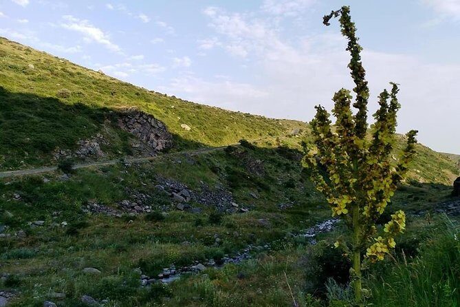 Mount Aragats, Amberd Fortress, Saghmosavank Monastery, Alphabet - private tour - A Closer Look at the Mount Aragats, Amberd Fortress, Saghmosavank Monastery, and Alphabet Private Tour