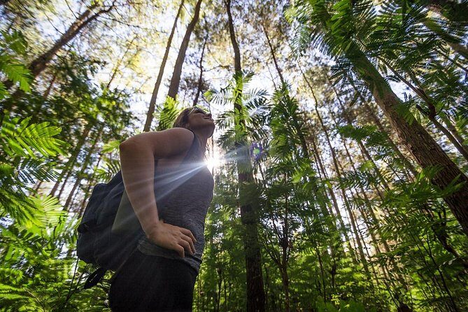 Mount Batur Sunrise Trekking With Breakfas - FAQ