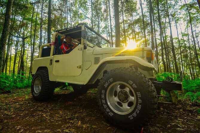 Mount Batur Trekking by 4wd Jeep - Key Points