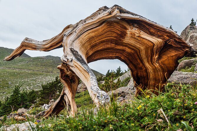 Mount Blue Sky Alpine Summit & Red Rocks Tour from Denver - FAQs