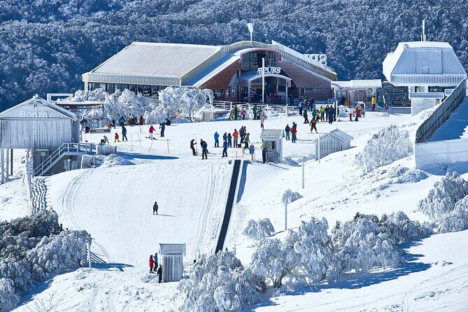 Mount Buller Sightseeing Tour - Transportation, Timing, and Group Size
