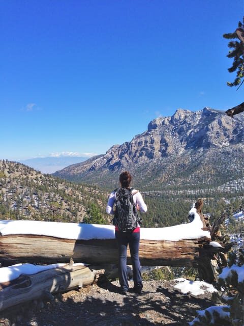Mount Charleston Driving Adventure: Escape to Nature - Who Would Love This Tour?