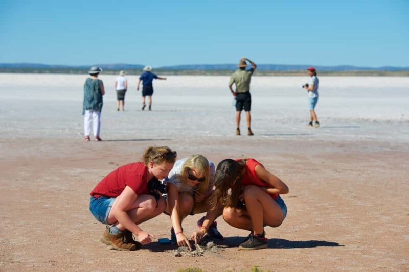 Mount Conner 4WD Small Group Tour from Ayers Rock - A Detailed Look at the Mount Conner 4WD Small Group Tour