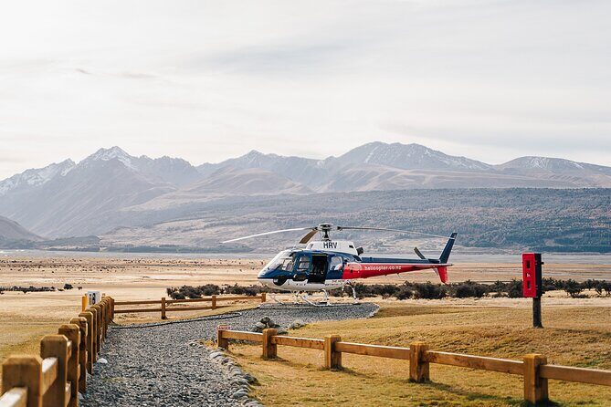 Mount Cook: Alpine Vista Helicopter Flight with Alpine Landing - Key Points