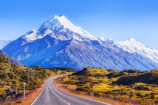 Mount Cook & Lake Tekapo Day Trip from Christchurch - Is It Worth the Cost?