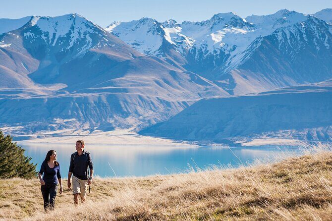 Mount Cook Small Group Scenic Tour - An In-Depth Look at the Tour Experience
