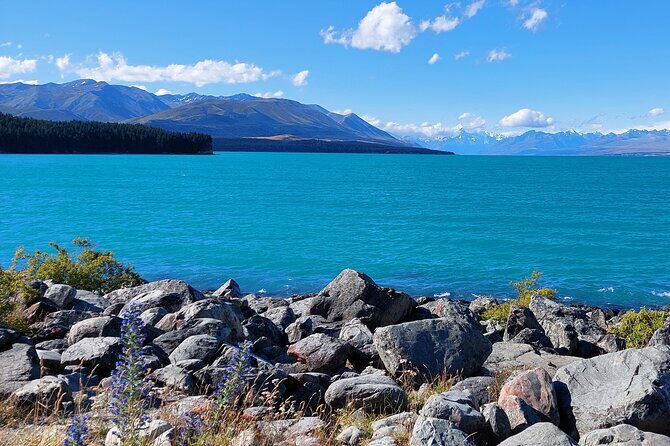 Mount Cook Tour: Finish at Queenstown, Christchurch or Dunedin - Key Points