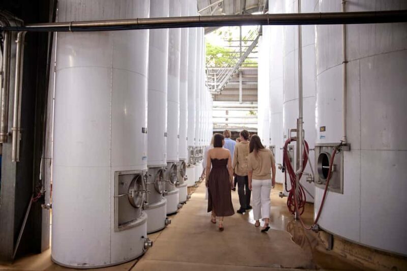 Mount Cotton: Winery Tour & Tasting with 3-Course Lunch - An In-Depth Look at the Mount Cotton Winery Tour