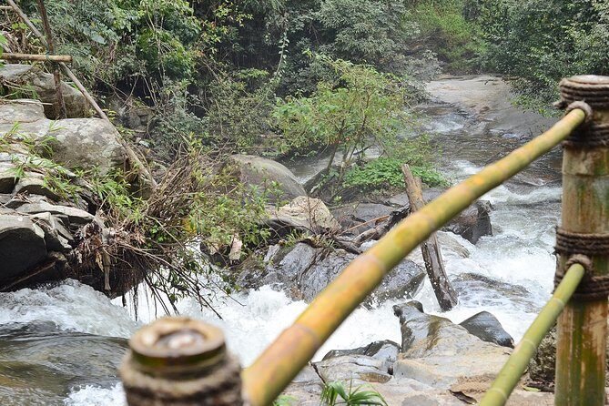Mount Doi Inthanon Hiking & Bird Watching - Final Thoughts