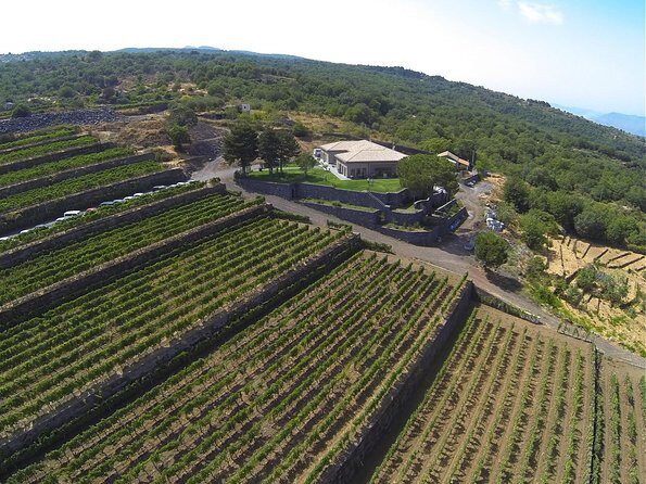 Mount Etna, Lunch in a Winery and Taormina Private Day-Trip from Messina - Final Thoughts: Is This Tour Worth It?