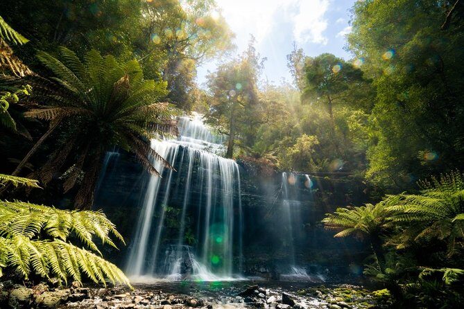 Mount Field Day Tour Private Charter Service ( 3 days in advance - Who Should Consider This Tour?