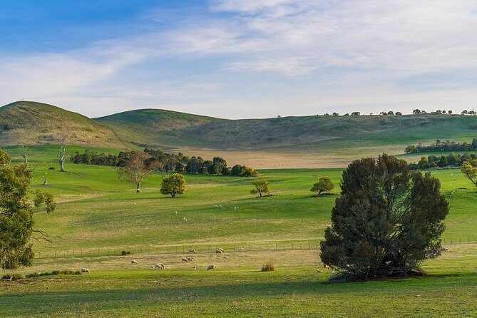 Mount Field Day Tour Private Charter Service ( 3 days in advance - FAQs