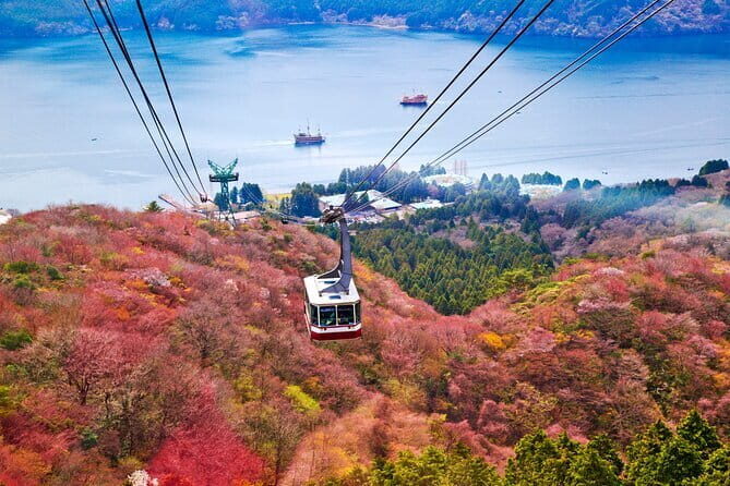 Mount Fuji and Hakone Private Day Trip by Car/Van - in English - Practical Considerations