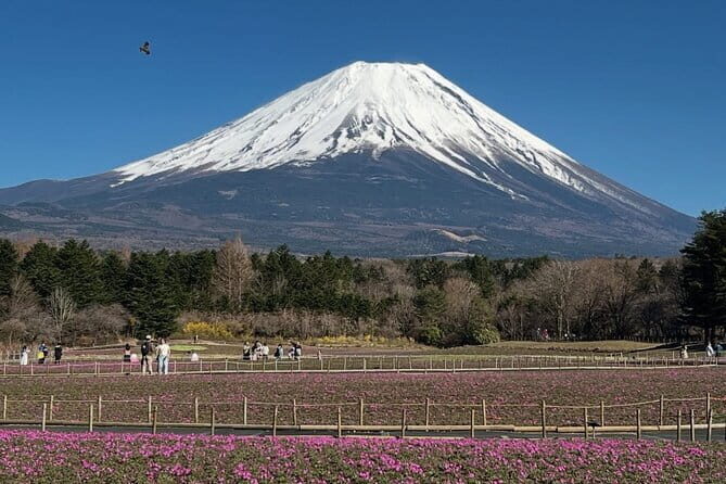 Mount Fuji and Hakone Private Tour with English Speaking Guide - The Value and Practical Considerations
