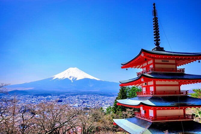 Mount Fuji and Hakone Private Tour with English Speaking Guide - Authentic Moments and Traveler Insights