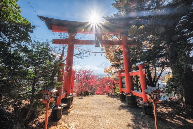 Mount Fuji and Lake Kawaguchi Private Day Trip From Tokyo - In-Depth Review of the Tour Experience