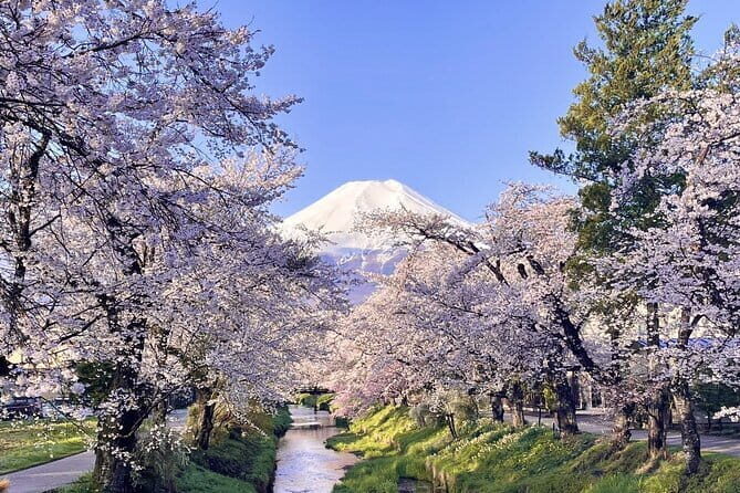 Mount Fuji and Oshino Hakkai Sightseeing Day Tour From Tokyo - Key Points