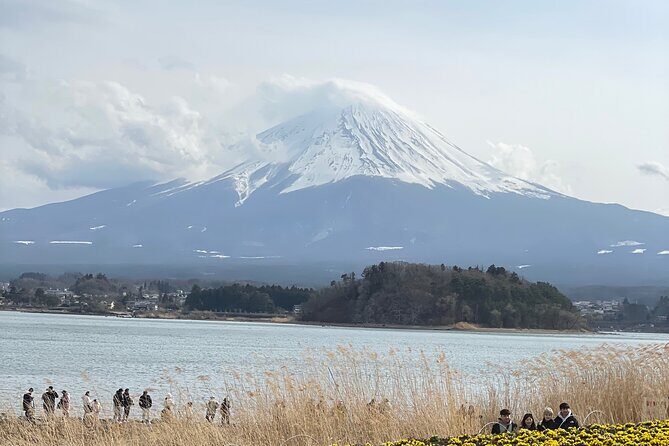 Mount Fuji Customizable one day Private Guided Tour from Tokyo - A Closer Look at the Itinerary