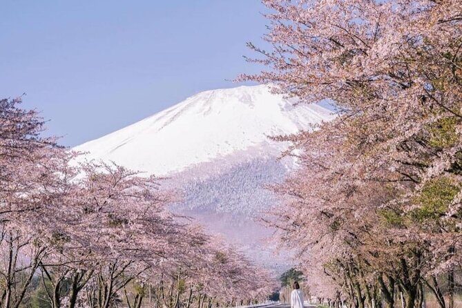 Mount Fuji Customizable one day Private Guided Tour from Tokyo - The Sum Up