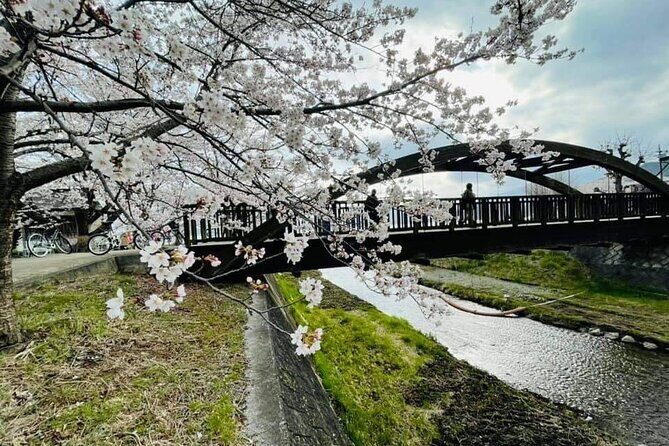 Mount Fuji Day Tour with Matcha Experience, and Arakurayama Park - Key Points