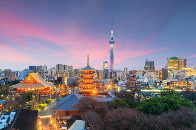Mount Fuji Day Trip from Tokyo with Scenic Views - Who Should Consider This Tour?