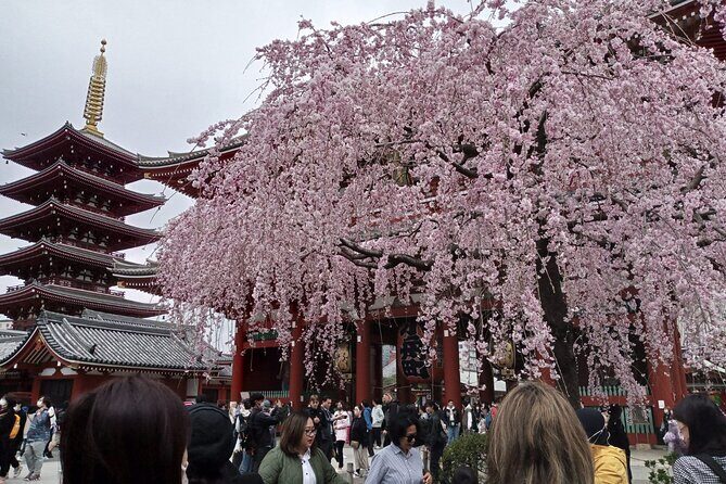 Mount Fuji Escape: A Private Tour - FAQ