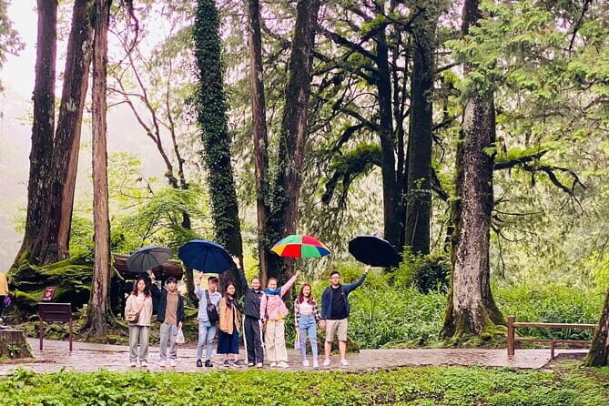 Mount Fuji Flower Viewing Limited Gotemba Outlet Tour - Exploring the Mount Fuji Flower Viewing Limited Gotemba Outlet Tour