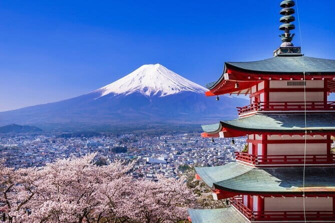 Mount Fuji Full Day Sightseeing Tour from Tokyo - Key Points
