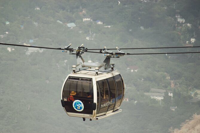 Mount Fuji, Hakone & Lakekawaguchiko Private Group Tour by Car. - Who is this tour best for?