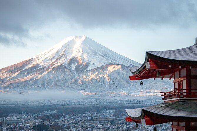 Mount Fuji, Hakone & Lakekawaguchiko Private Group Tour by Car. - FAQ